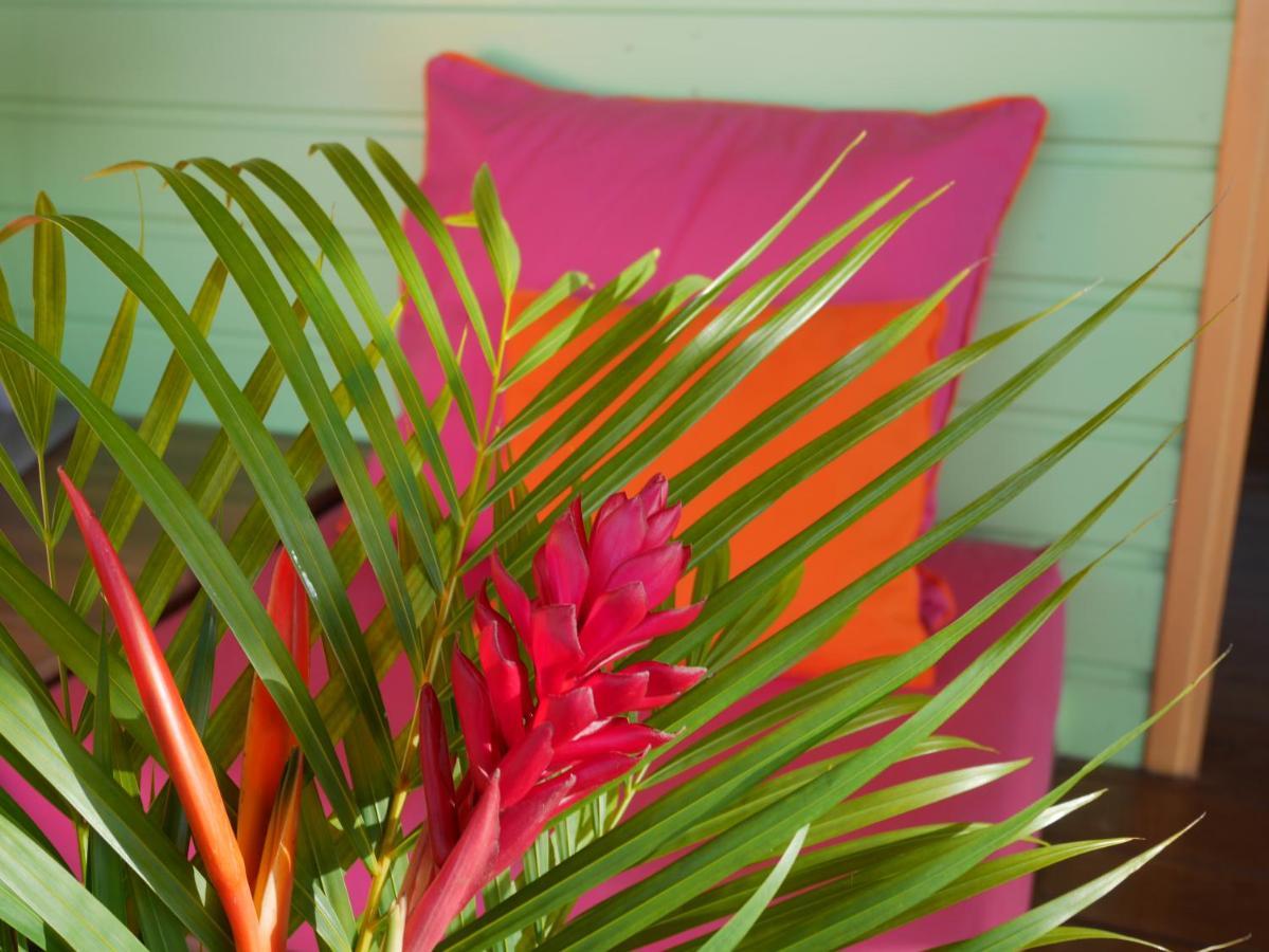 La Joupa Case Anthurium Sainte-Rose Εξωτερικό φωτογραφία