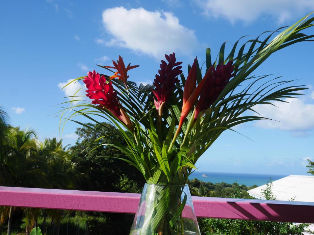 La Joupa Case Anthurium Sainte-Rose Εξωτερικό φωτογραφία
